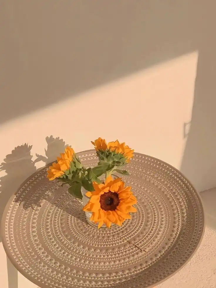 @zzcseo+2025最新蜘蛛池_操作流程深度优化_稳定版V22.62.20安卓破解版V36.70.90下载